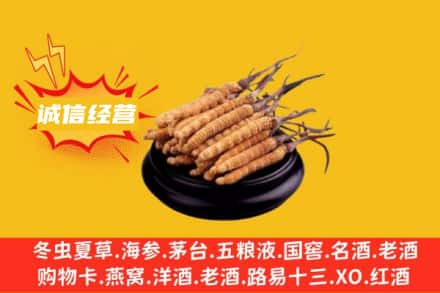 鹤壁回收冬虫夏草